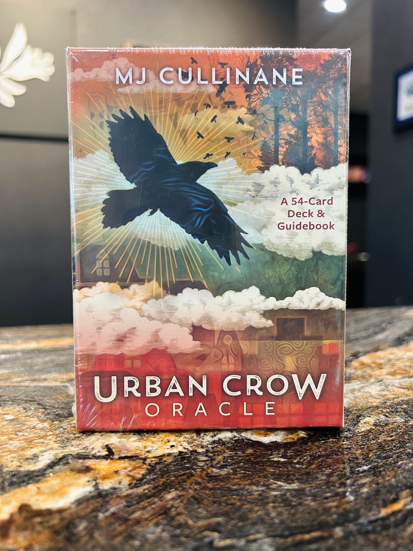 Urban Crow Oracle by MJ Cullinane